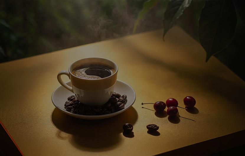 Quel Est Le Café Le Plus Cher Au Monde ?