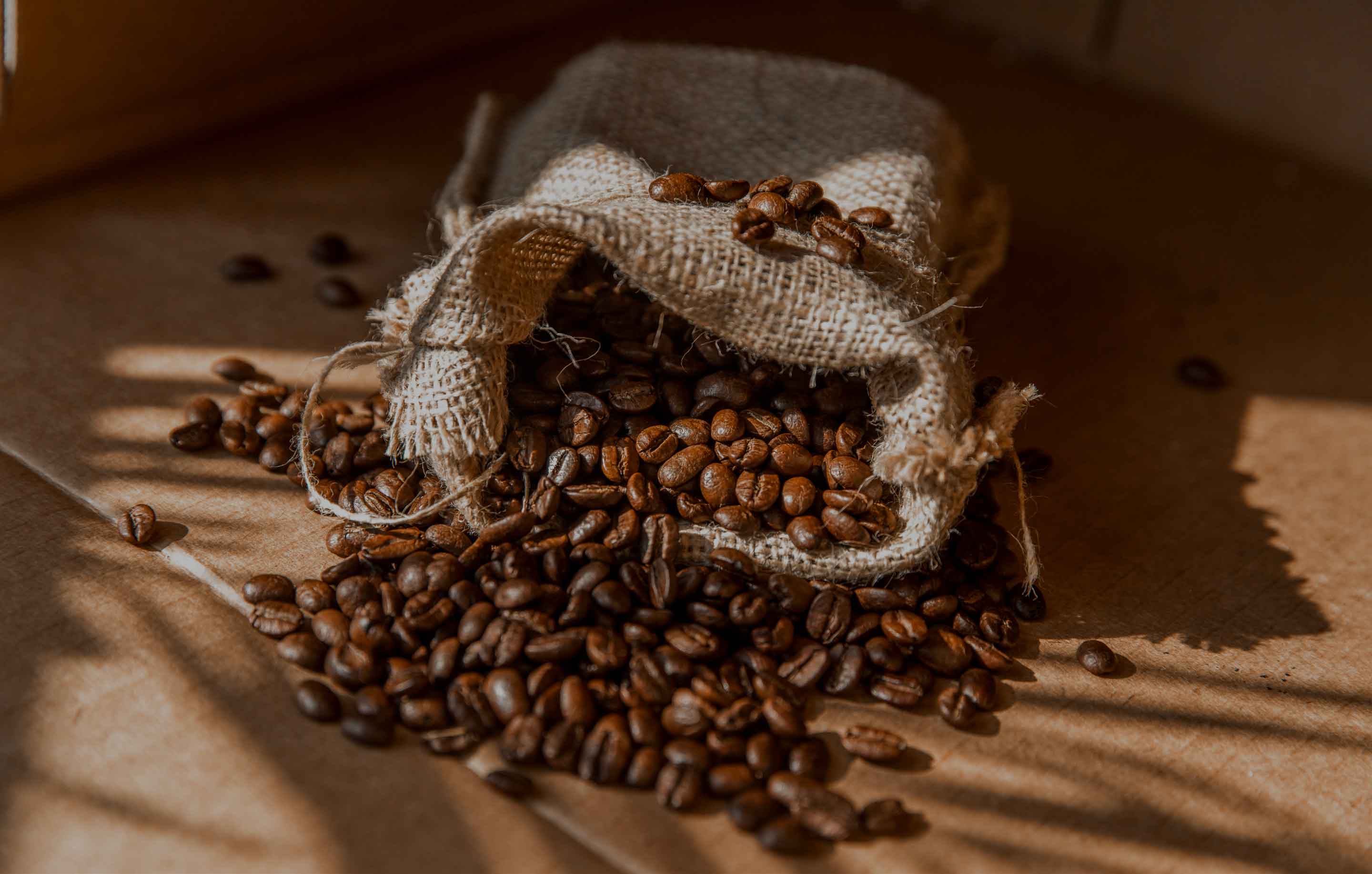 Comment bien conserver vos grains de café pour une fraîcheur absolue ?