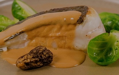 Turbot grillé, morilles et crème de café