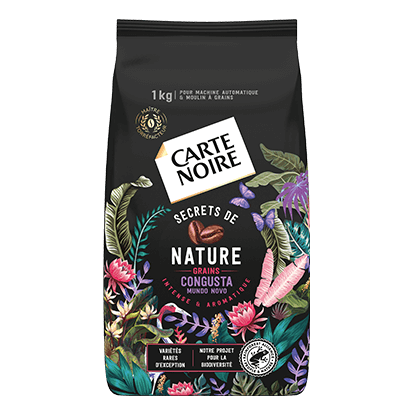 Café Carte Noire : Grains, Moulus, Capsules, Dosettes et Bio