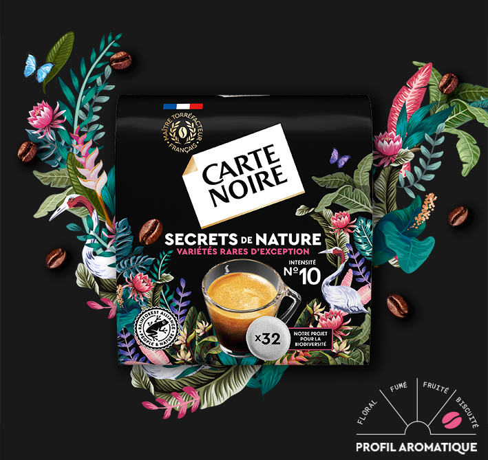 SECRETS DE NATURE  Congusta et Mundo Nov - Café en dosettes souples