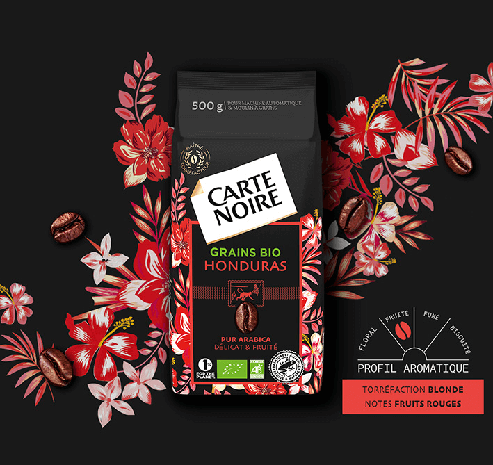 SELECTION HONDURAS - Café en grains bio pur Arabica