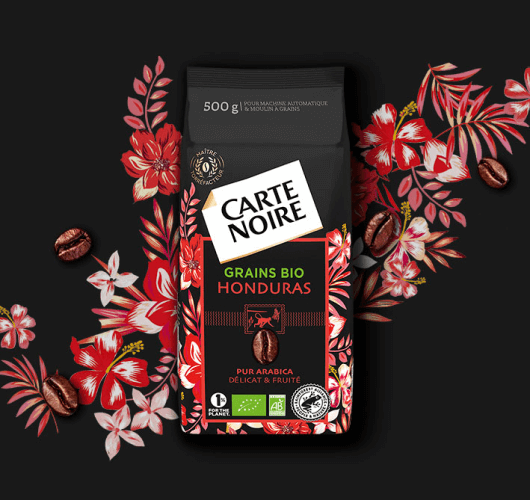 SELECTION HONDURAS - Café en grains bio pur Arabica
