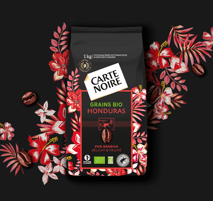 SELECTION HONDURAS - Café en grains bio pur Arabica