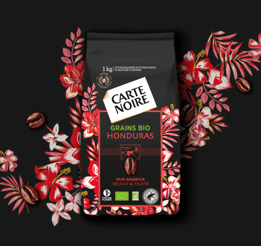 SELECTION HONDURAS - Café en grains bio pur Arabica