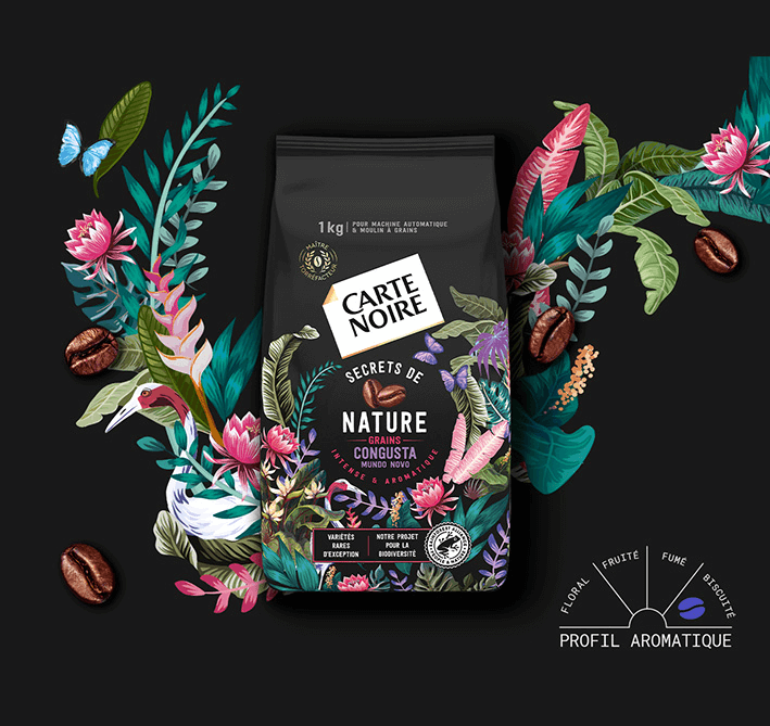 Café en grains Carte Noire Secret de nature Catuai Romex