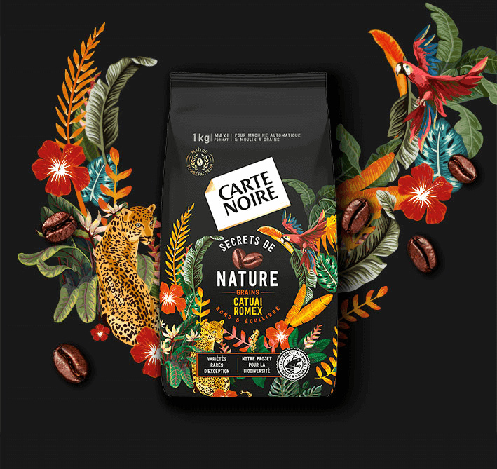 SECRETS DE NATURE CATUAI ROMEX - Café en grains torréfiés